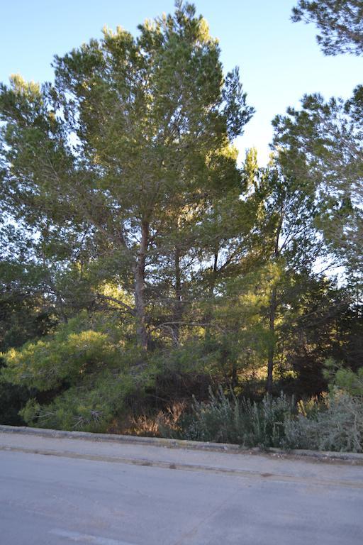 Apartamentos Isabel Playa Migjorn Εξωτερικό φωτογραφία